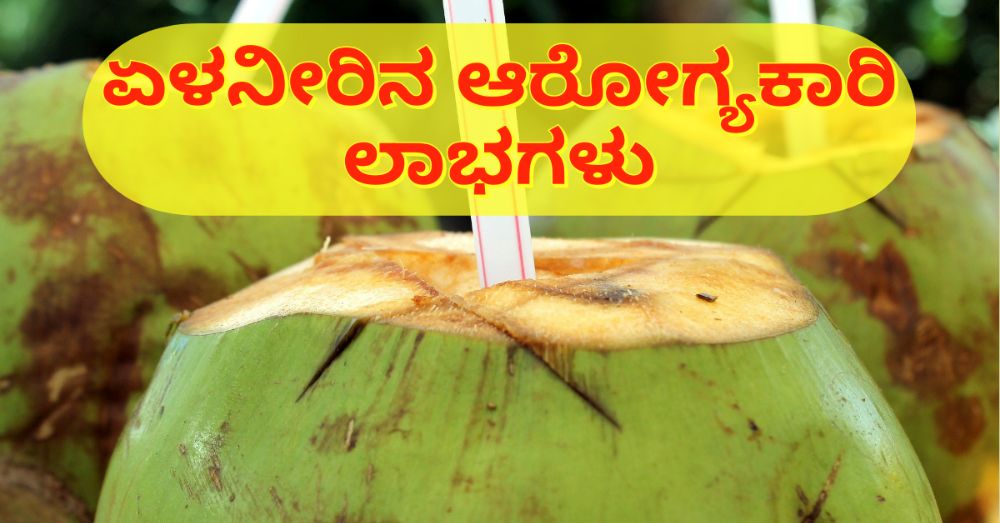 ಏಳನೀರಿನ ಲಾಭಗಳು, ದುಷ್ಪರಿಣಾಮಗಳು ಮತ್ತು ಉಪಯೋಗಗಳು