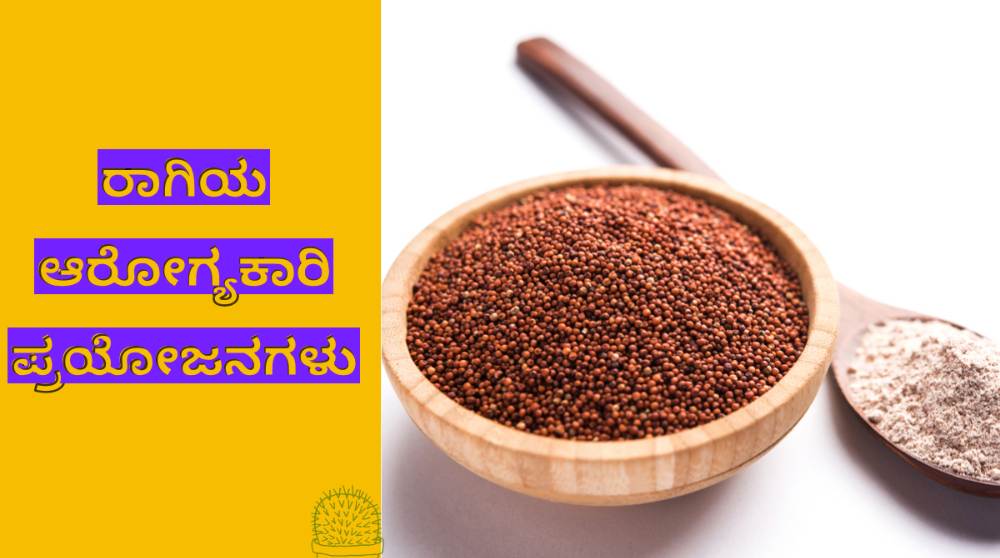 ರಾಗಿಯ ಪ್ರಯೋಜನಗಳು, ದುಷ್ಪರಿಣಾಮಗಳು ಮತ್ತು ಉಪಯೋಗಗಳು
