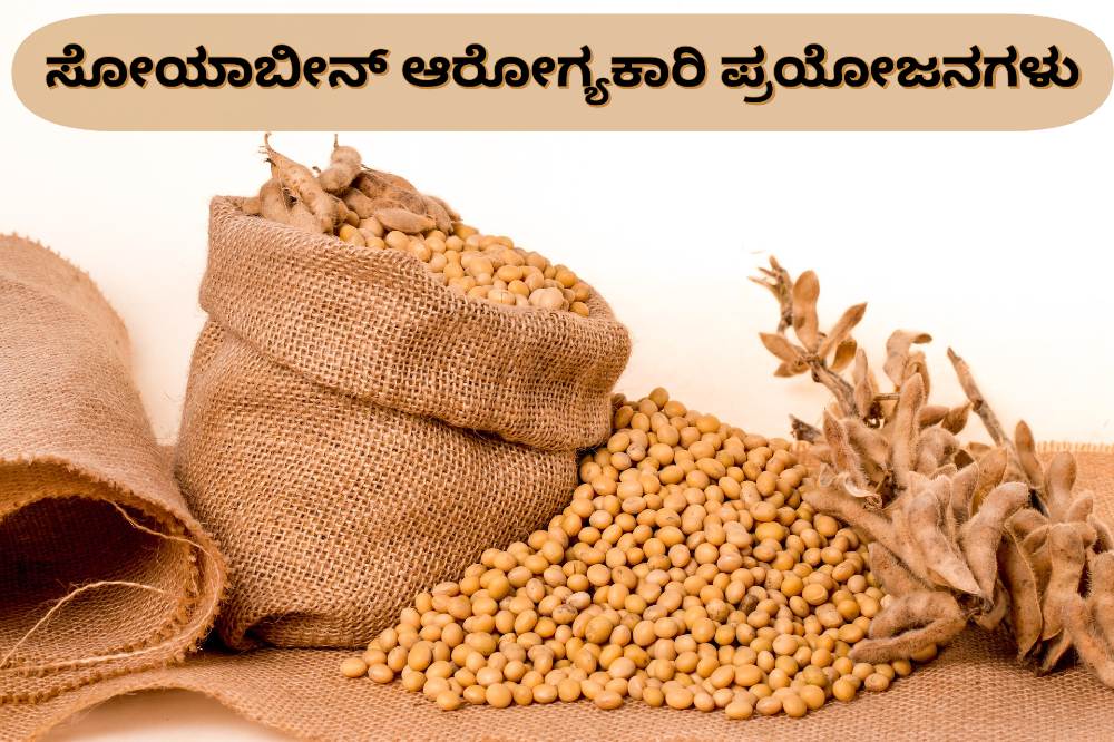 ಸೋಯಾಬೀನ್ ಪ್ರಯೋಜನಗಳು - Soybean Benefits in Kannada